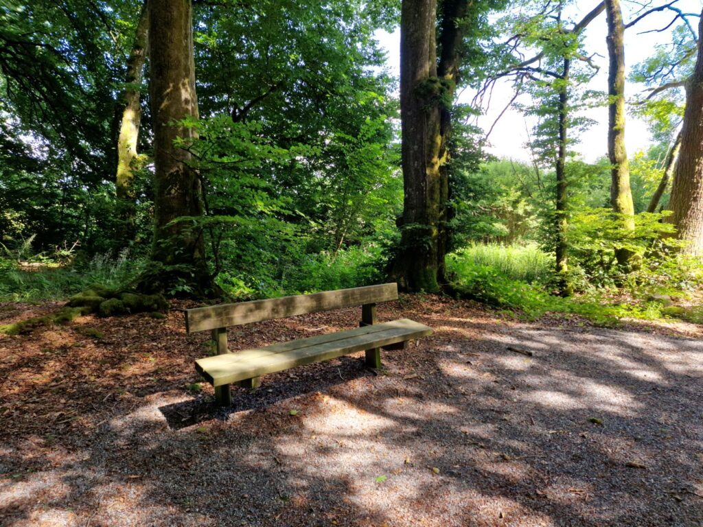 Sentier En Bois Et Banc En Bois Dans Le Parc De La Teste-de-buch Dans Le  Sud-ouest De La France